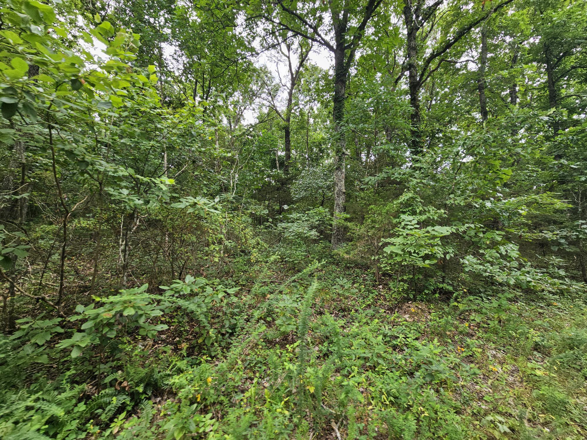 -18 Ac Westview Road Neosho, MO 64850 - Photo 5 of 12 Bresee 18 ac pic 5