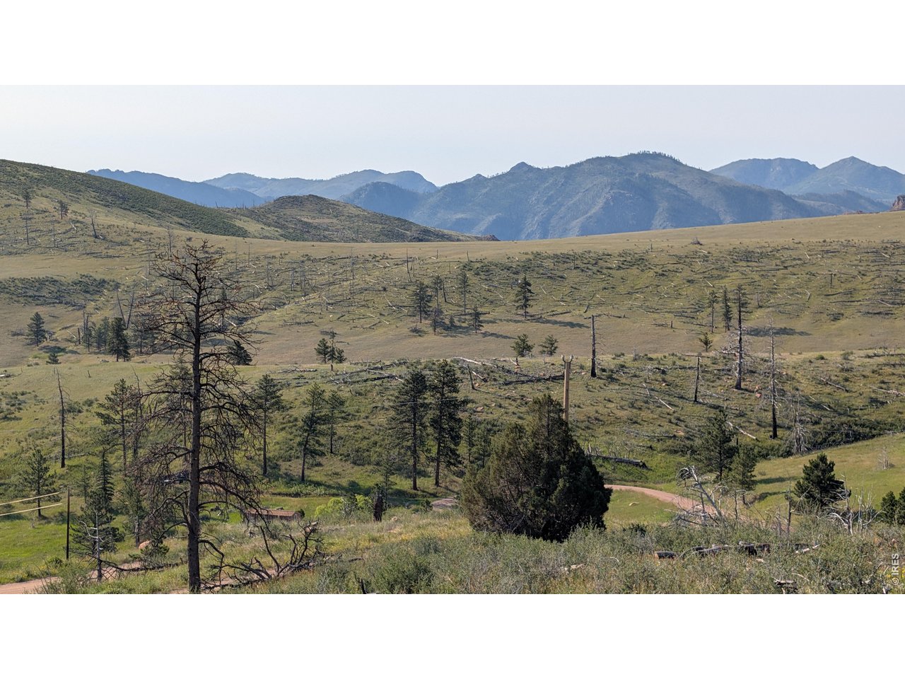 2185 Eiger Road Livermore, CO 80536 - Photo 14 of 33