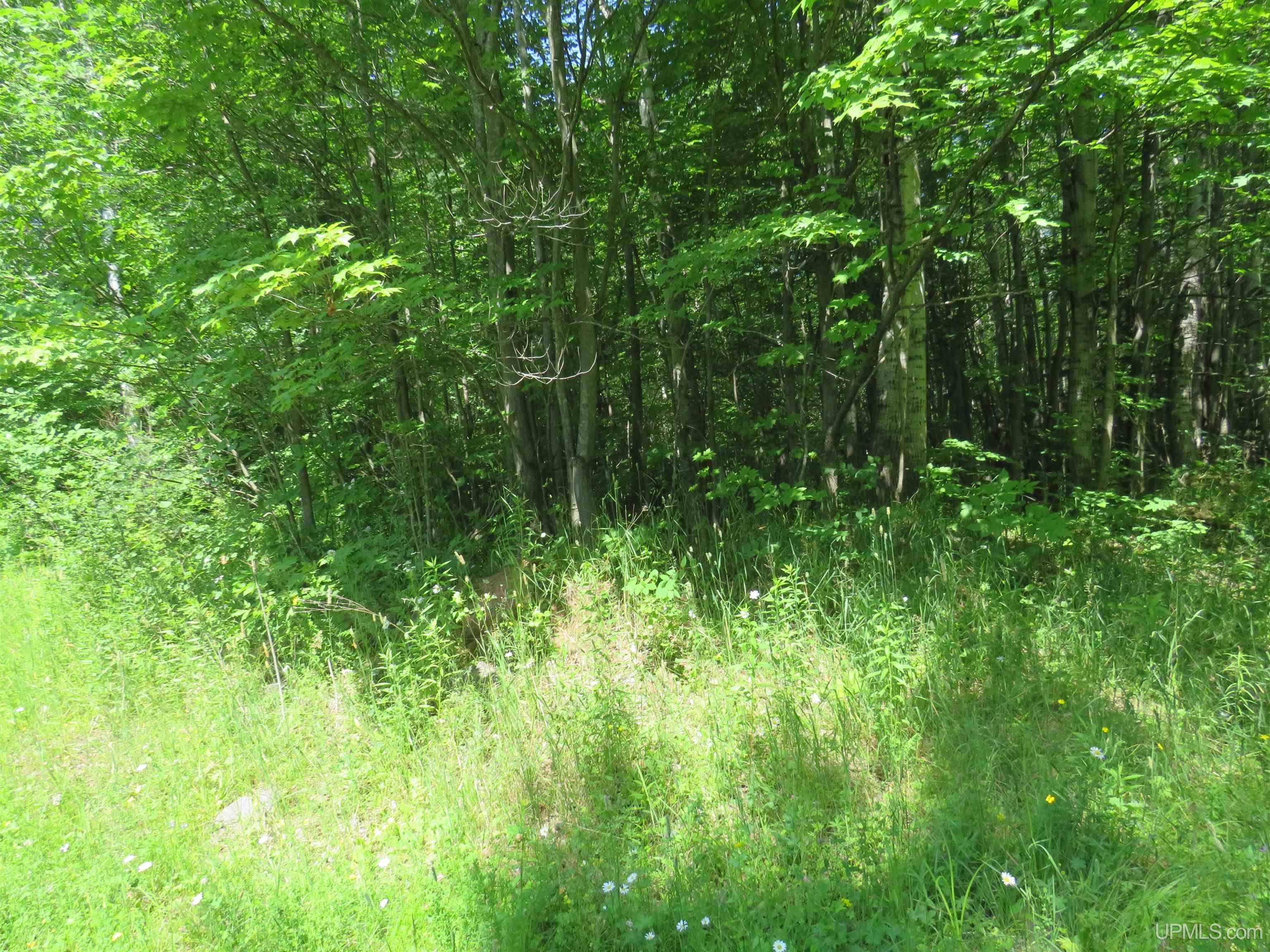 Tbd Curlew Road Ontonagon, MI 49953 - Photo 27 of 36