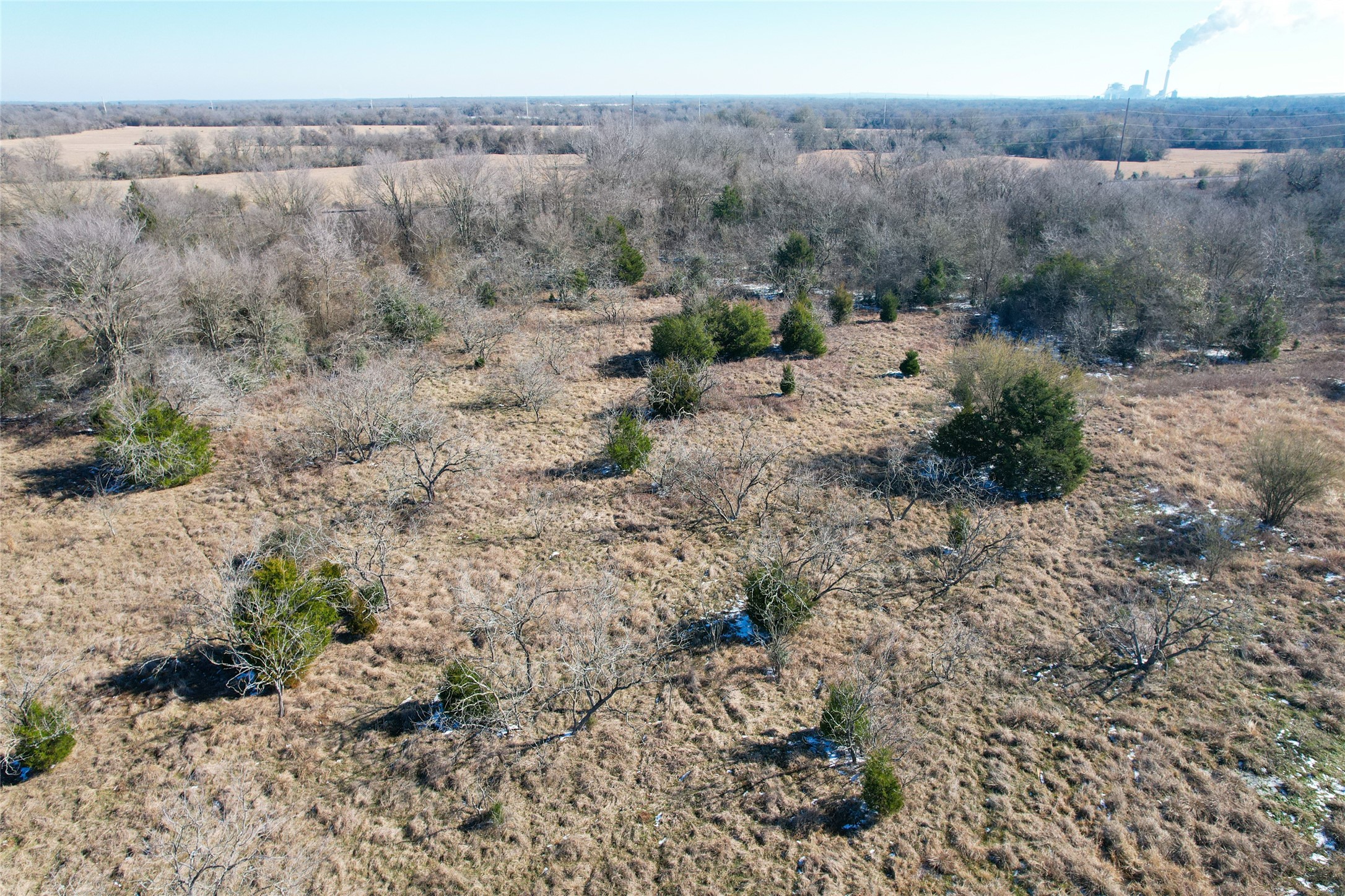 2 Prairie Grove Road Bremond, TX 76629 - Photo 17 of 28 a view of a dry field with trees in the background
