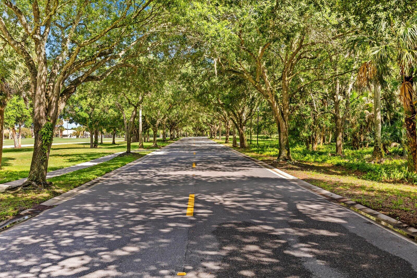 918 Southwest Balmoral Trace Stuart, FL 34997 - Photo 44 of 45 Beautiful oak canopy lined streets