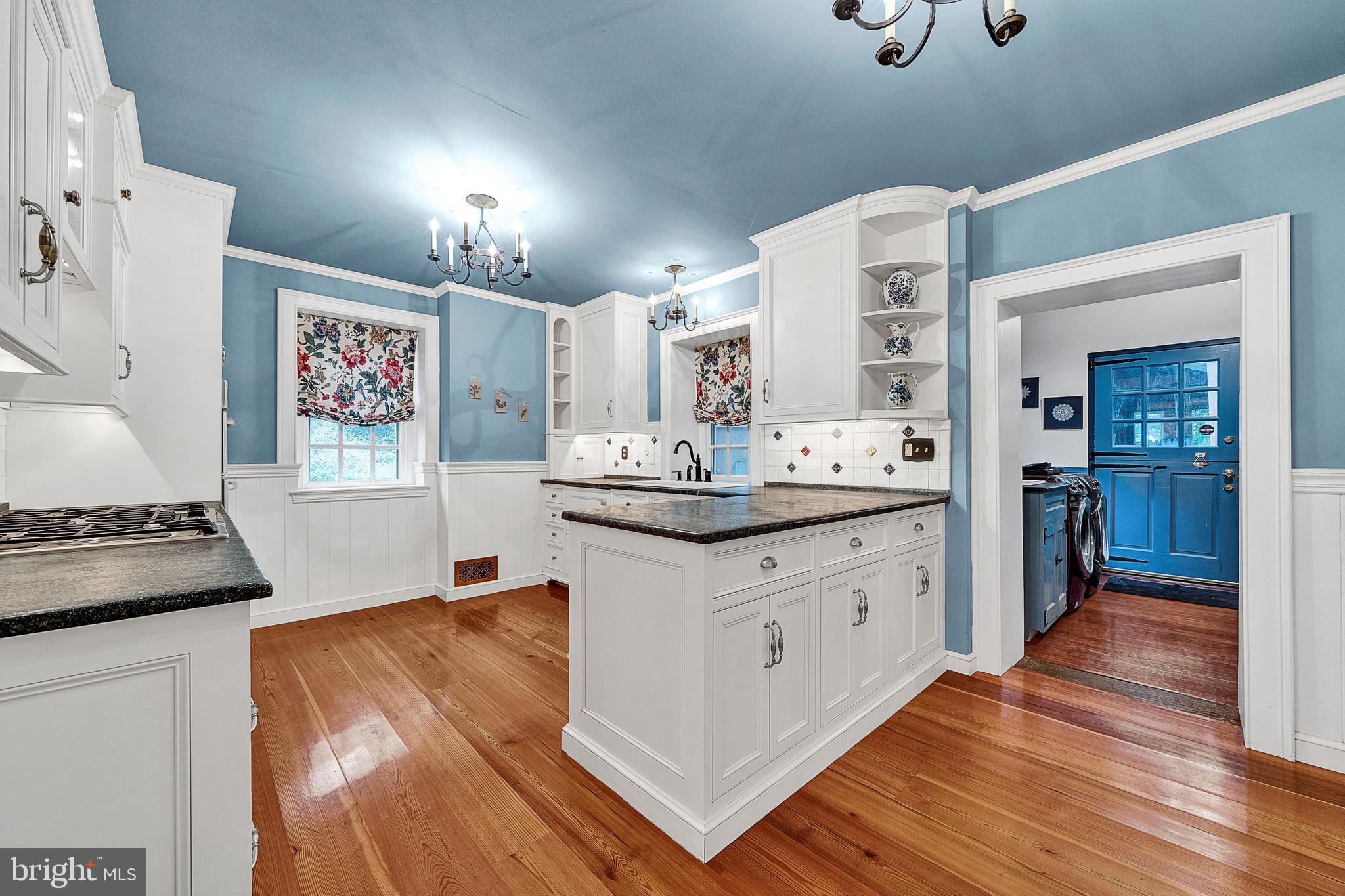 125 East Bells Mill Road Philadelphia, PA 19118 - Photo 12 of 67 Kitchen