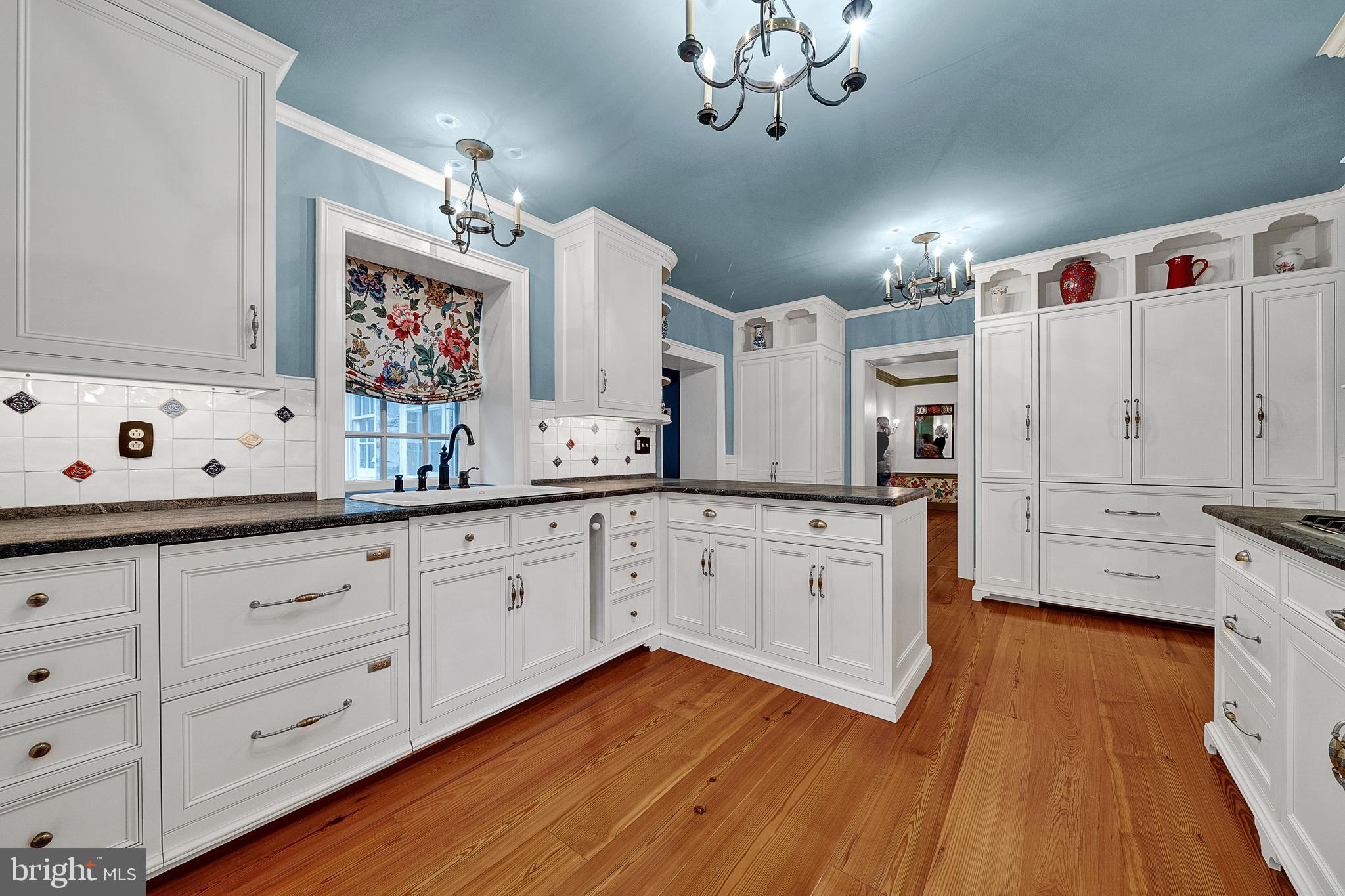 125 East Bells Mill Road Philadelphia, PA 19118 - Photo 15 of 67 Kitchen w/Fisher & Paykel Double Drawer Dishwasher