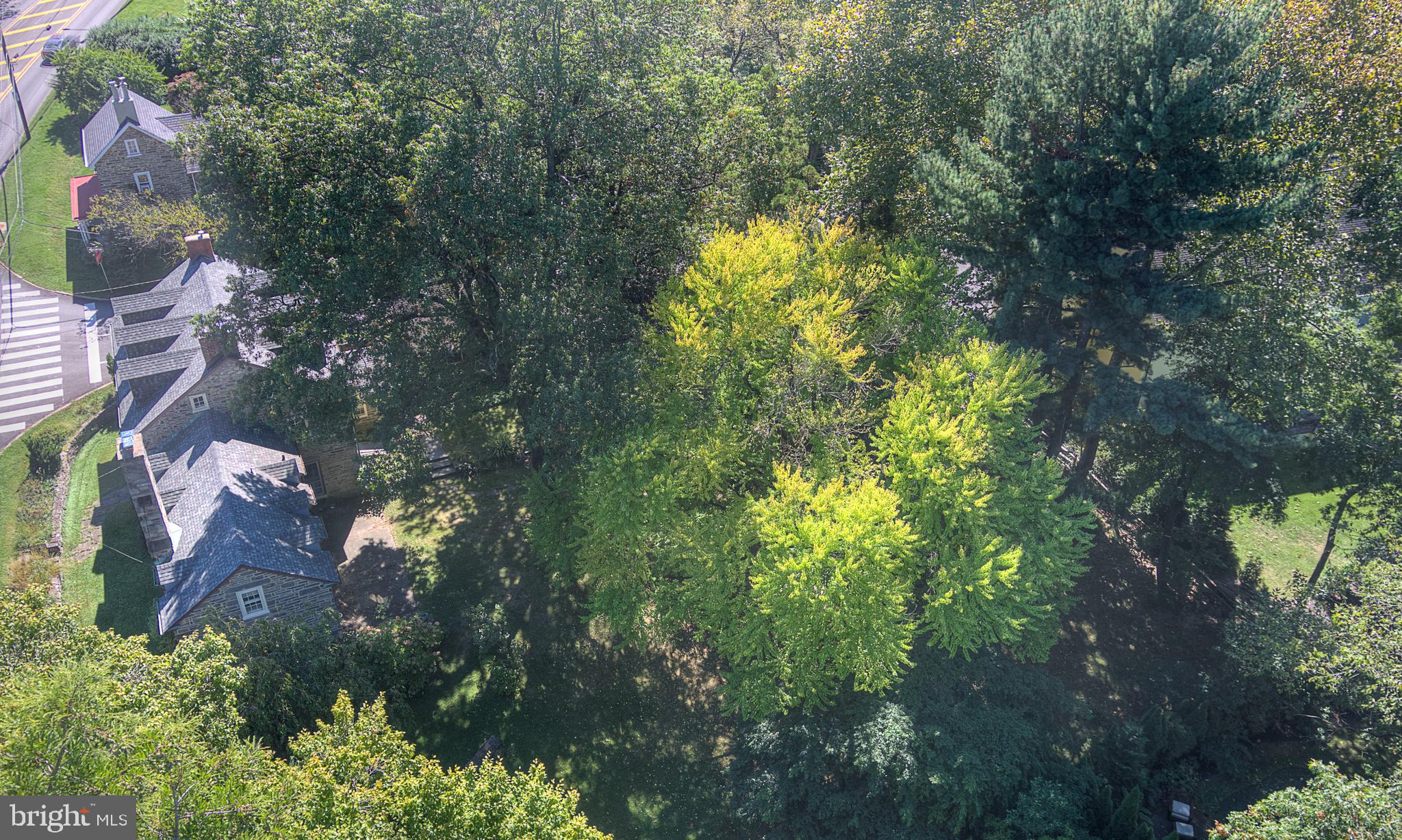 125 East Bells Mill Road Philadelphia, PA 19118 - Photo 65 of 67
