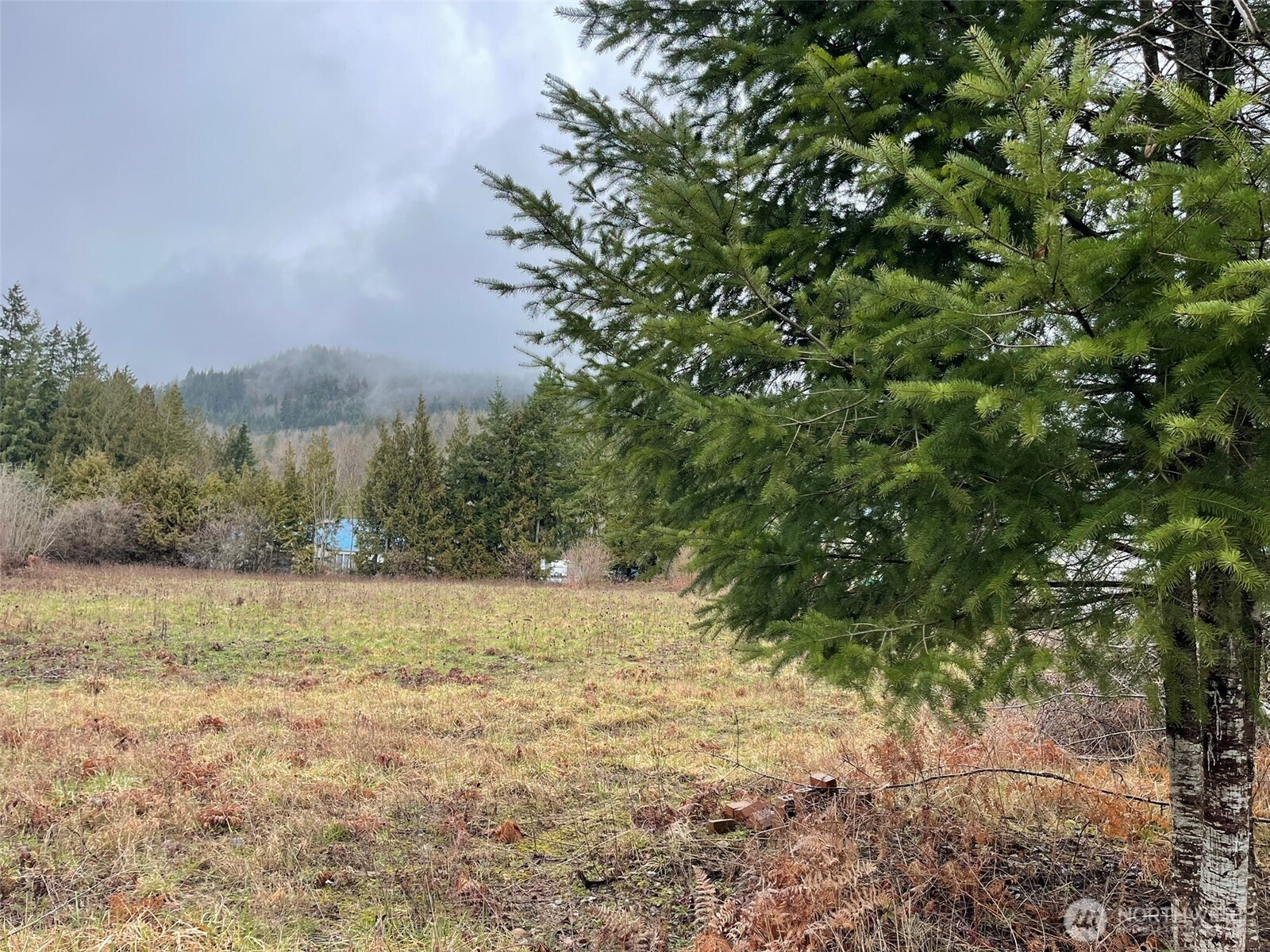 45075 Cedar Street Concrete, WA 98237 - Photo 7 of 18