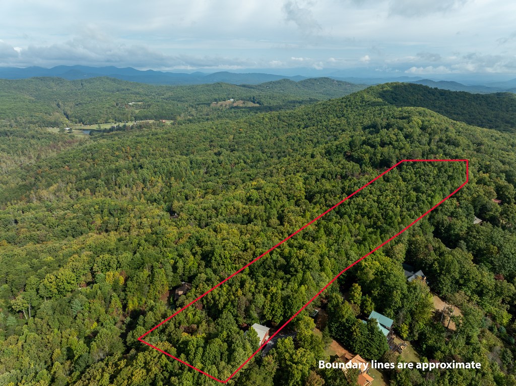 175 Oak Ledge Road Morganton, GA 30560 - Photo 50 of 62