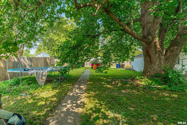 $29,900 | 440 5th Street, Lincoln, IL 62656