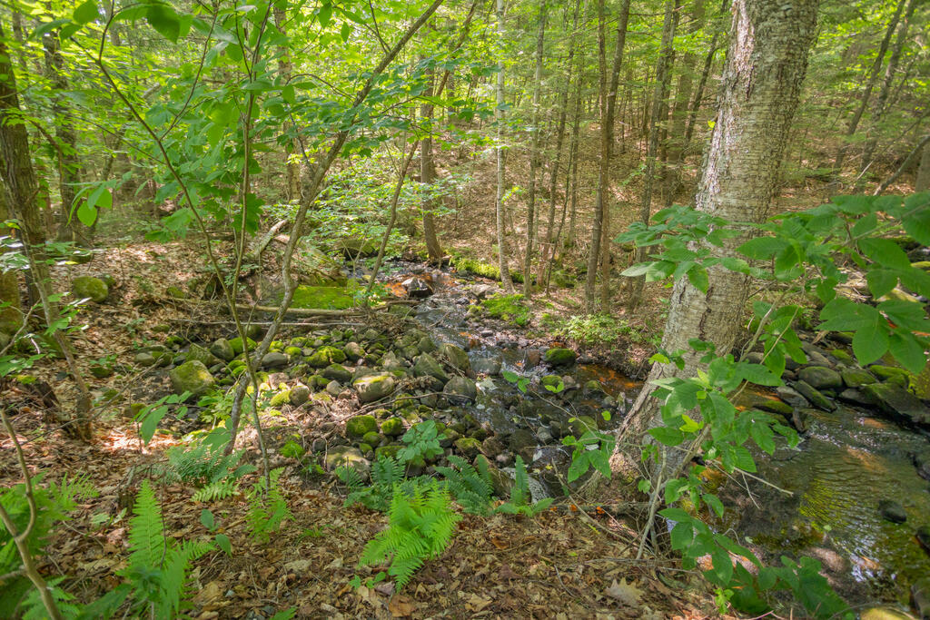 72 Fayette Corner Road Kents Hill, ME 04349 - Photo 60 of 62 taylor-kaminsky-photo-73