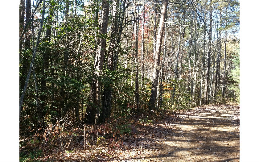 9.2-ac Havanogotta Road Mineral Bluff, GA 30559 - Photo 1 of 1 Main View