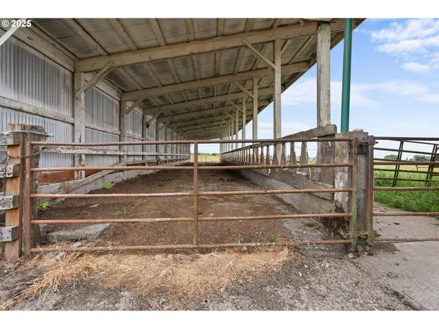 a view of a field with an trees