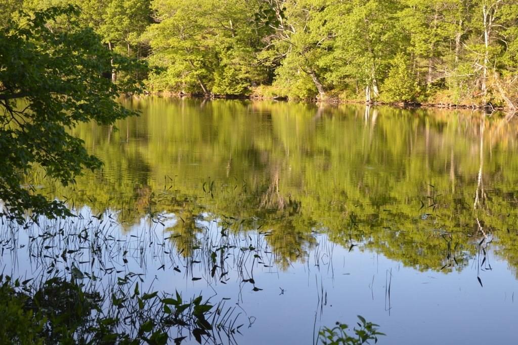 29 Al Copp Rd Mount Mount Vernon, ME 04352 - Photo 4 of 26 Photo