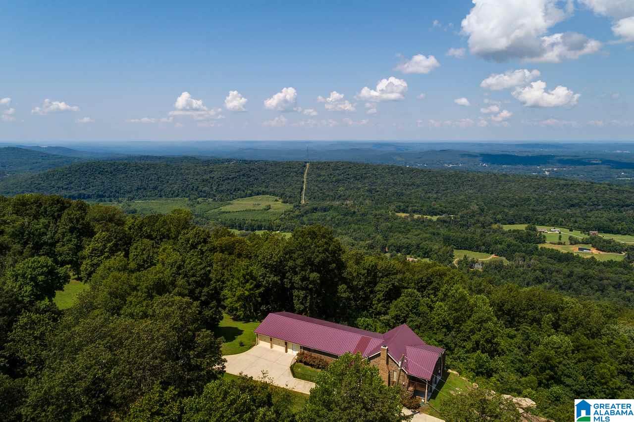1458 Warnock Peak Road Hayden, AL 35079 - Photo 4 of 50