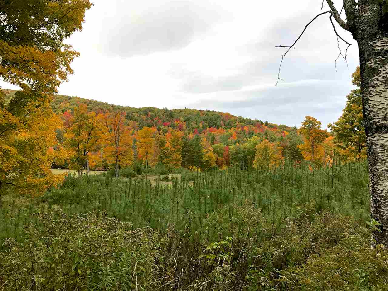 1942 Terry Hill Road Fairlee, VT 05045 - Photo 21 of 39 Gallery Image 21
