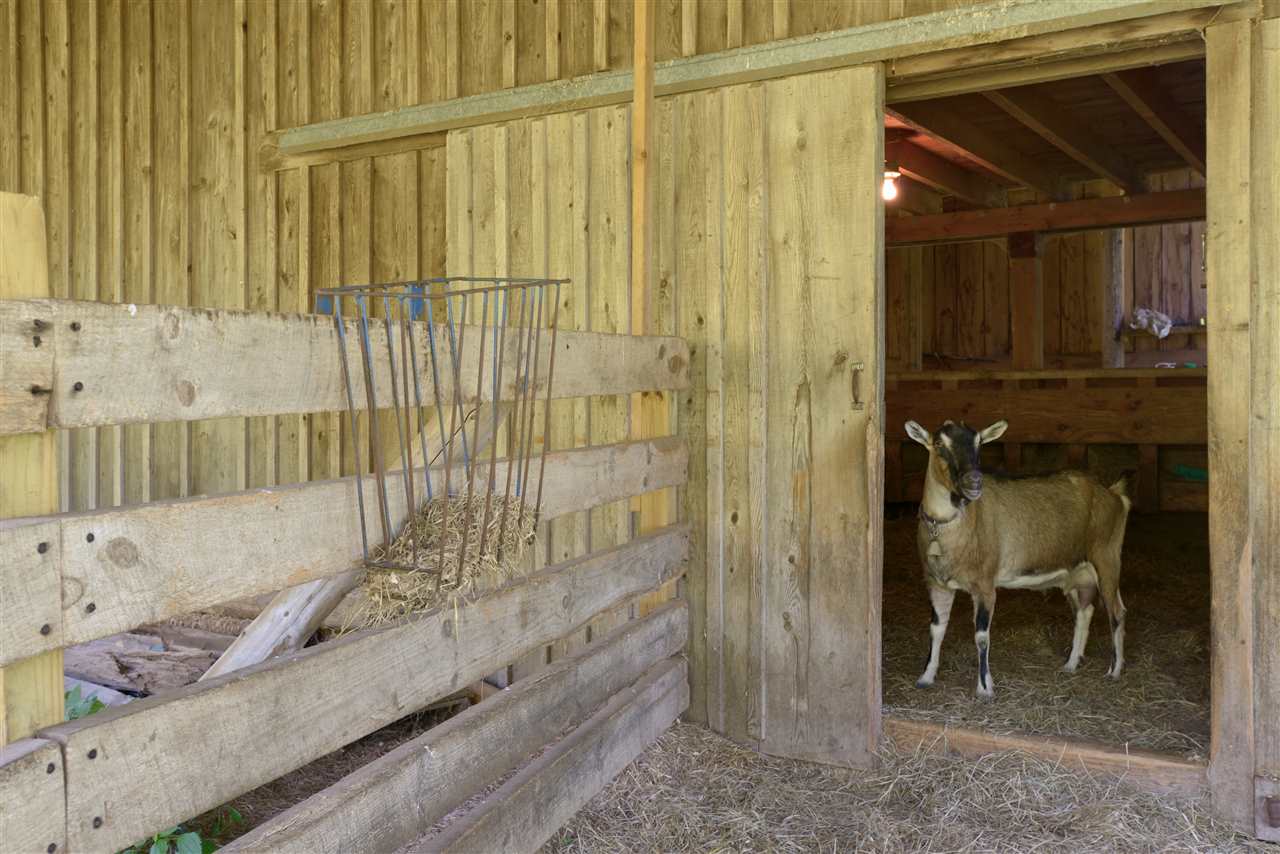1942 Terry Hill Road Fairlee, VT 05045 - Photo 23 of 39 Gallery Image 23