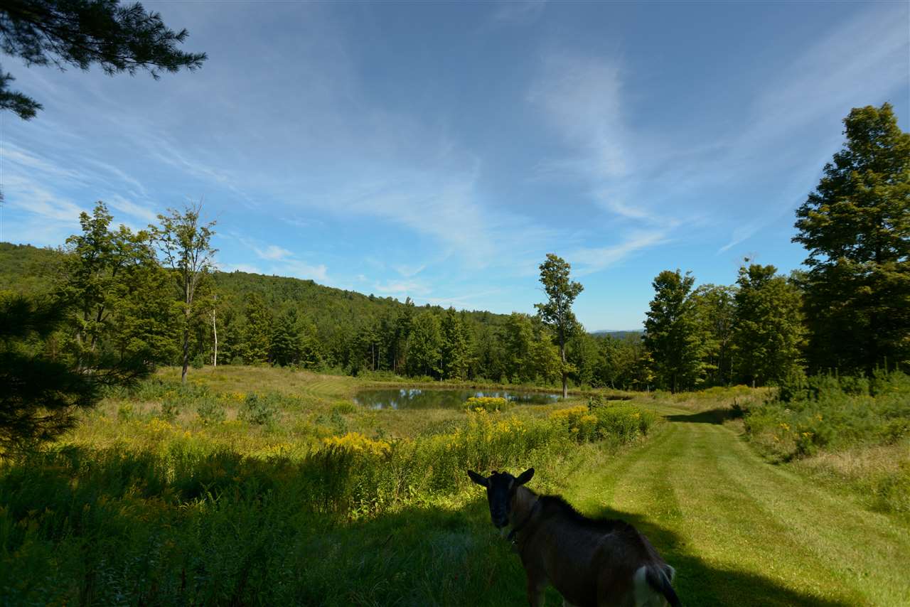 1942 Terry Hill Road Fairlee, VT 05045 - Photo 24 of 39 Gallery Image 24