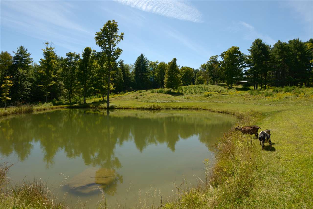 1942 Terry Hill Road Fairlee, VT 05045 - Photo 27 of 39 Gallery Image 27