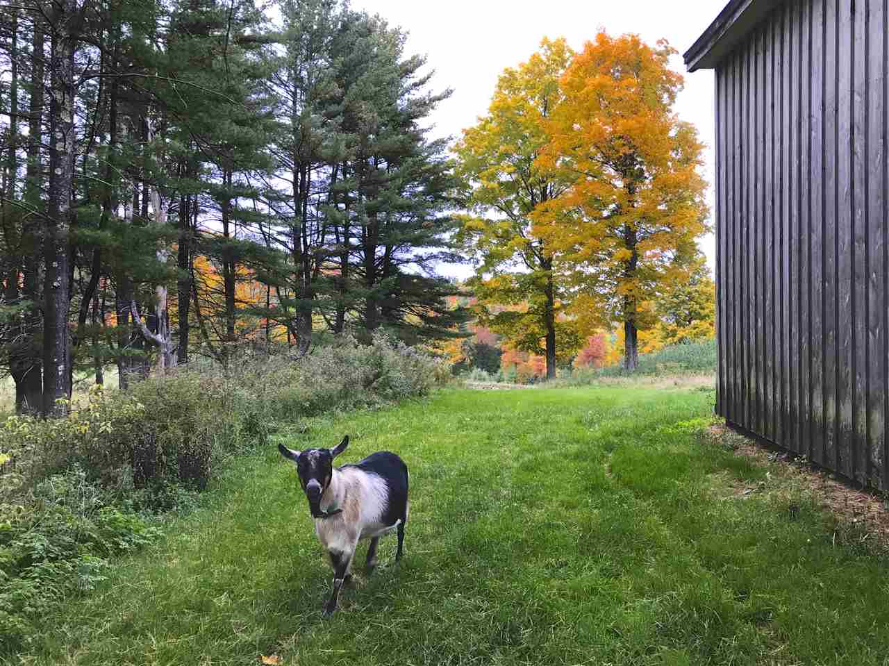 1942 Terry Hill Road Fairlee, VT 05045 - Photo 33 of 39 Gallery Image 33