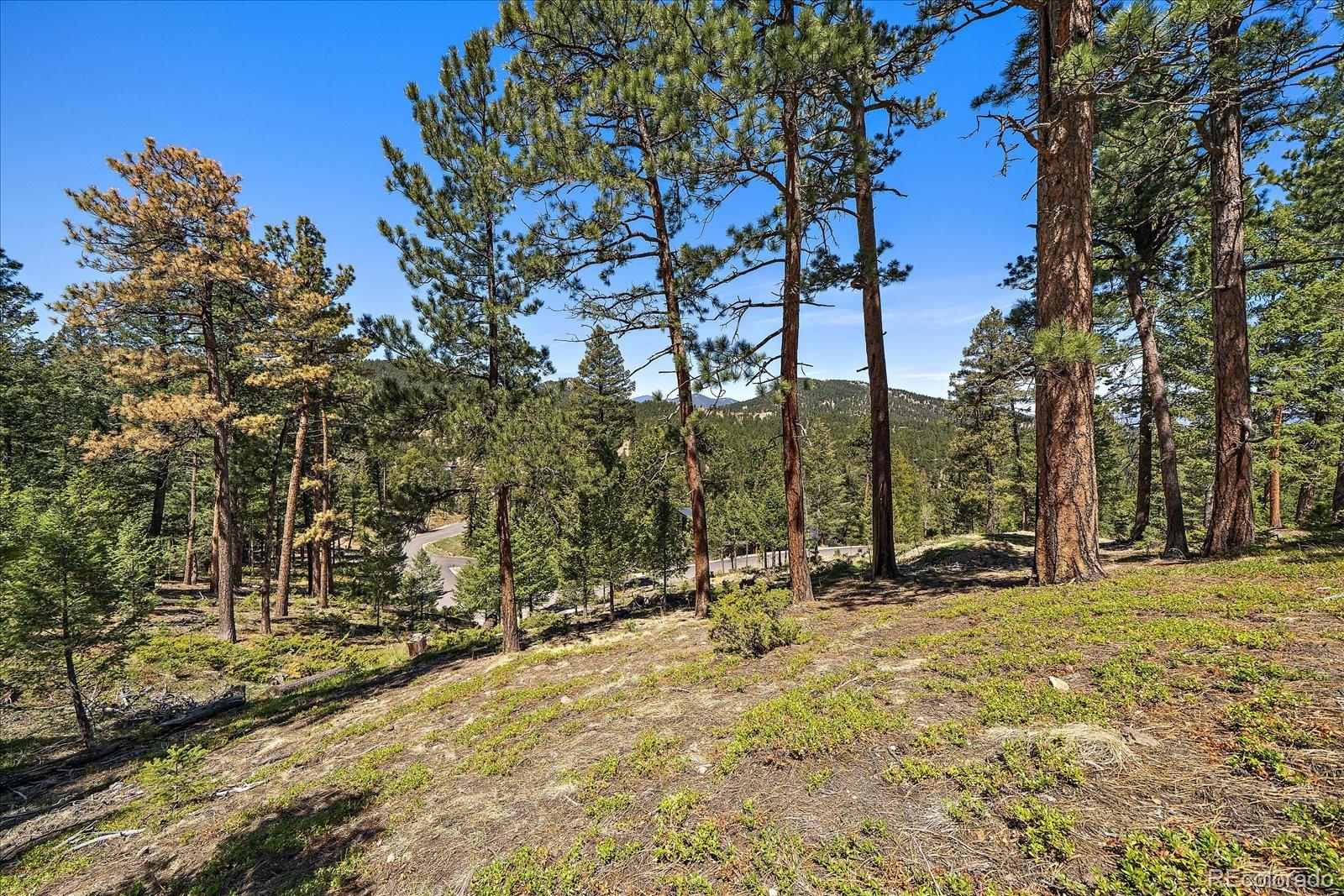 6875 Lynx Lair Road Evergreen, CO 80439 - Photo 10 of 21