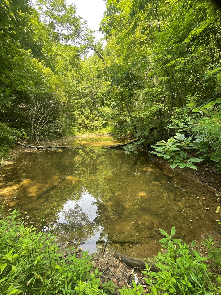 0 Hidden Lakes Road Topton, NC 28781 - Photo 4 of 7