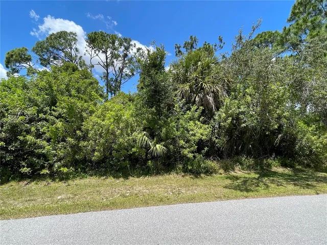 a view of a garden with a flower in a garden