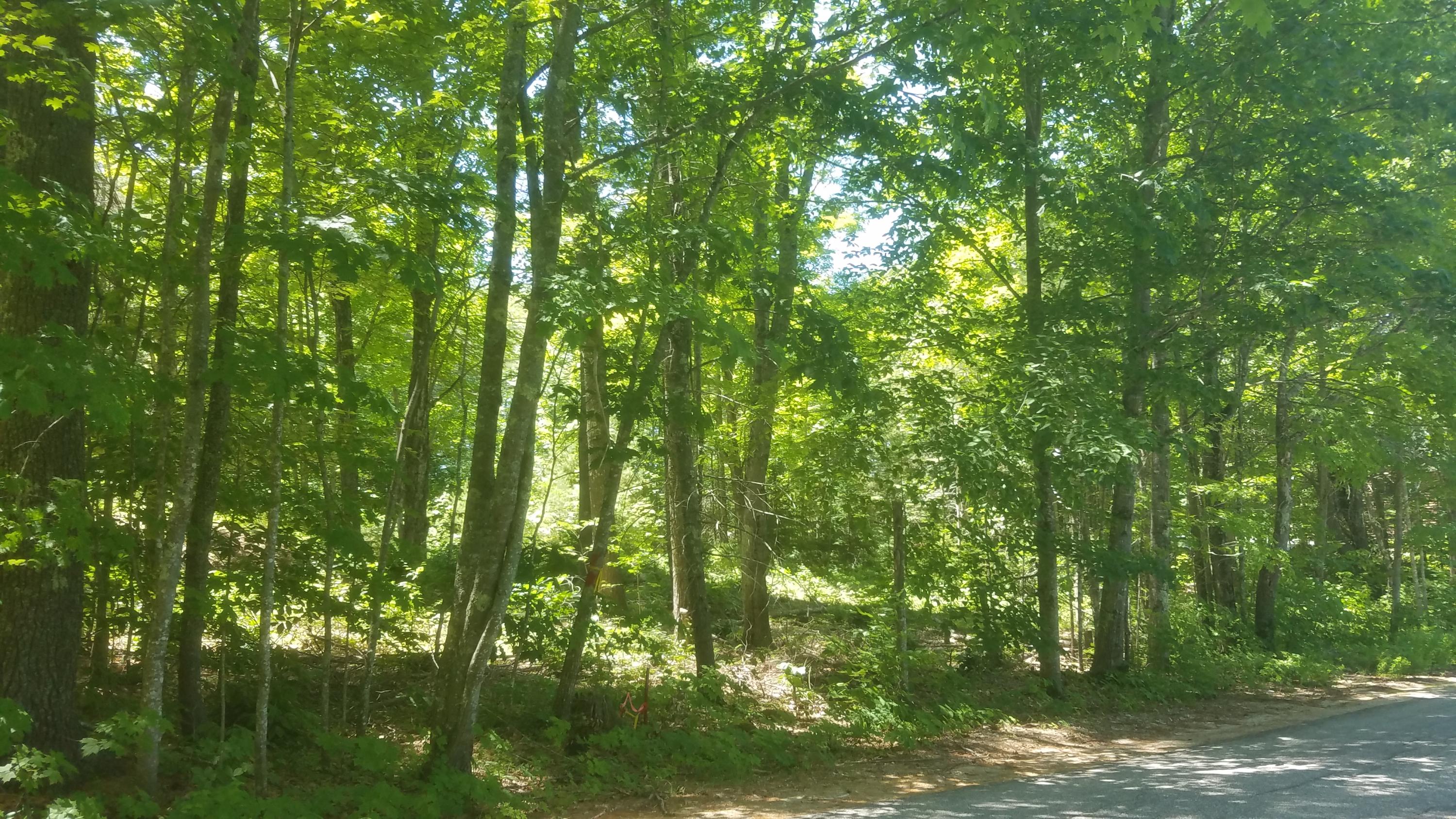 Tbd Rocky Dun Road West Baldwin, ME 04091 - Photo 1 of 4 20190708_131243