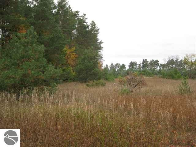 0 Beeman Road Empire, MI 49630 - Photo 8 of 13 Gallery Image 8