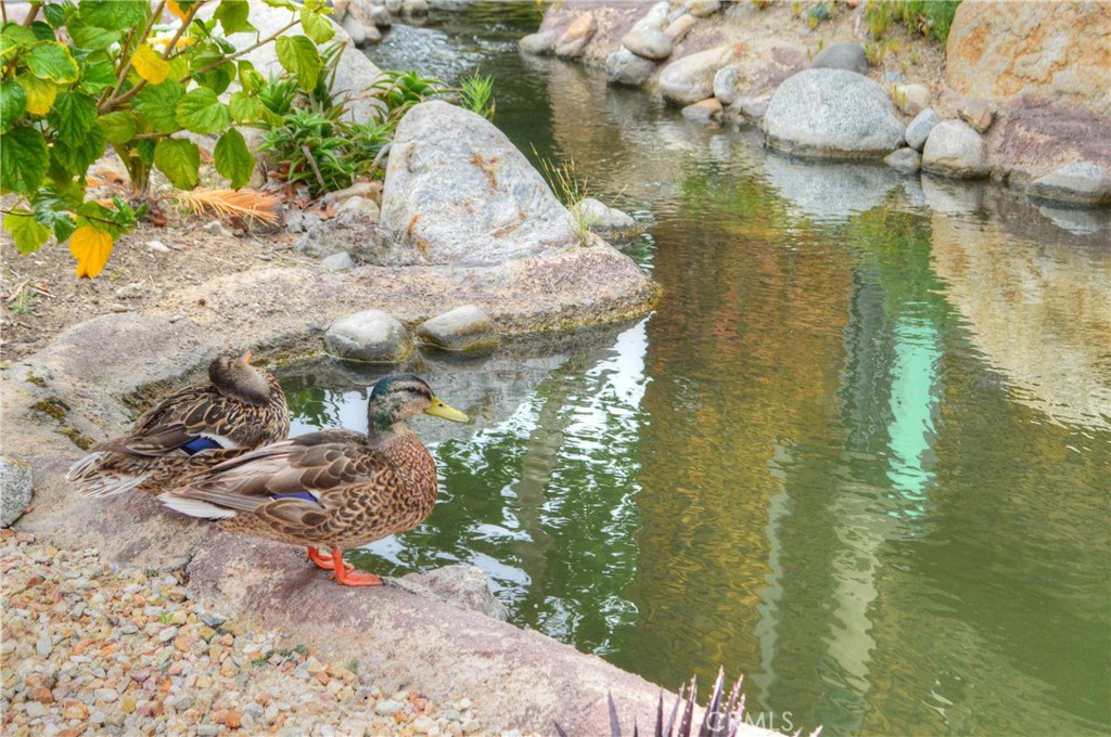 33852 Del Obispo Street, Unit 45 Dana Point, CA 92629 - Photo 48 of 54