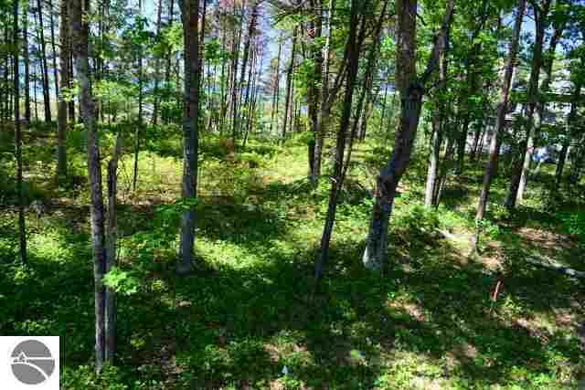 7621 Deepwater Point Road Williamsburg, MI 49690 - Photo 26 of 26