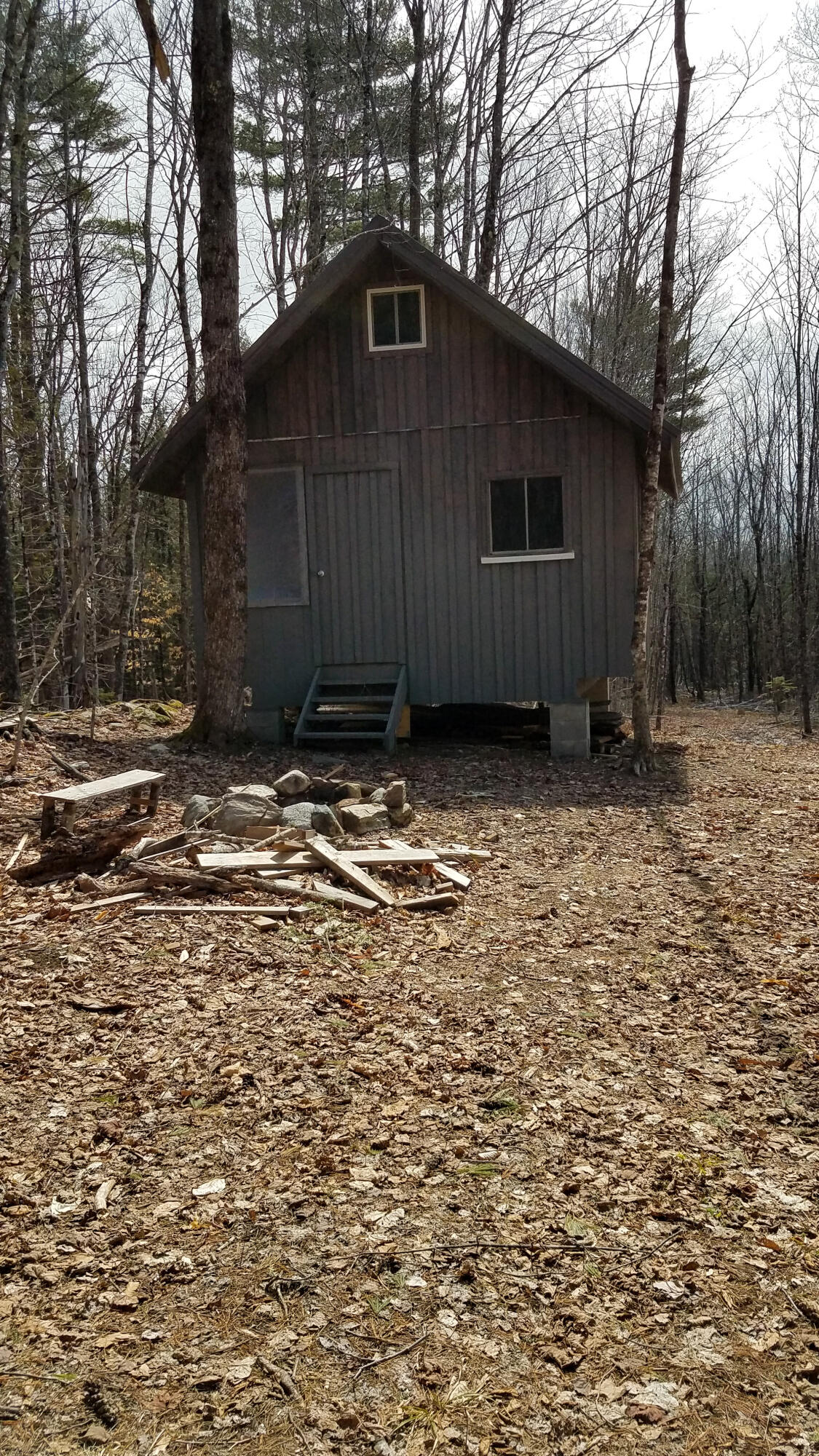 Lot 62 Charleston Road Dexter, ME 04930 - Photo 10 of 28 Lot 62 (6 of 24)