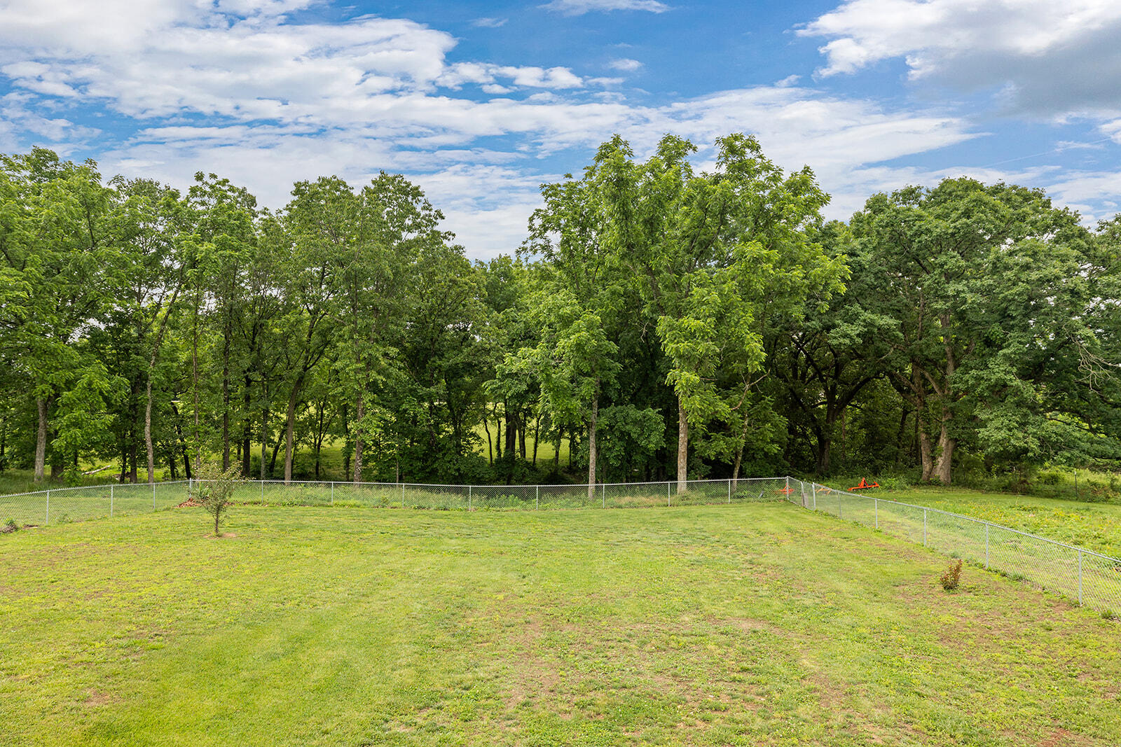1823 Finley Falls Road Seymour, MO 65746 - Photo 62 of 74 _MG_0063