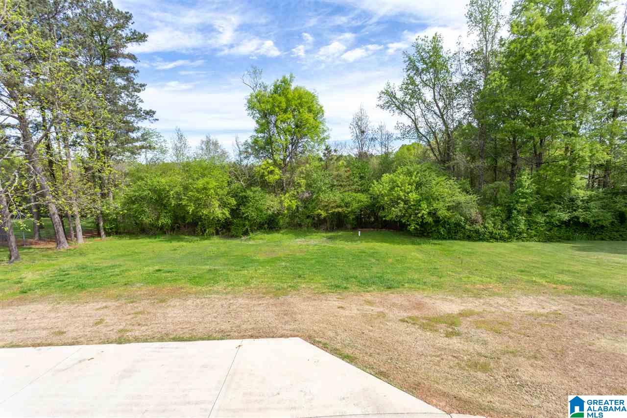 101 Drexel Drive Oneonta, AL 35121 - Photo 43 of 44