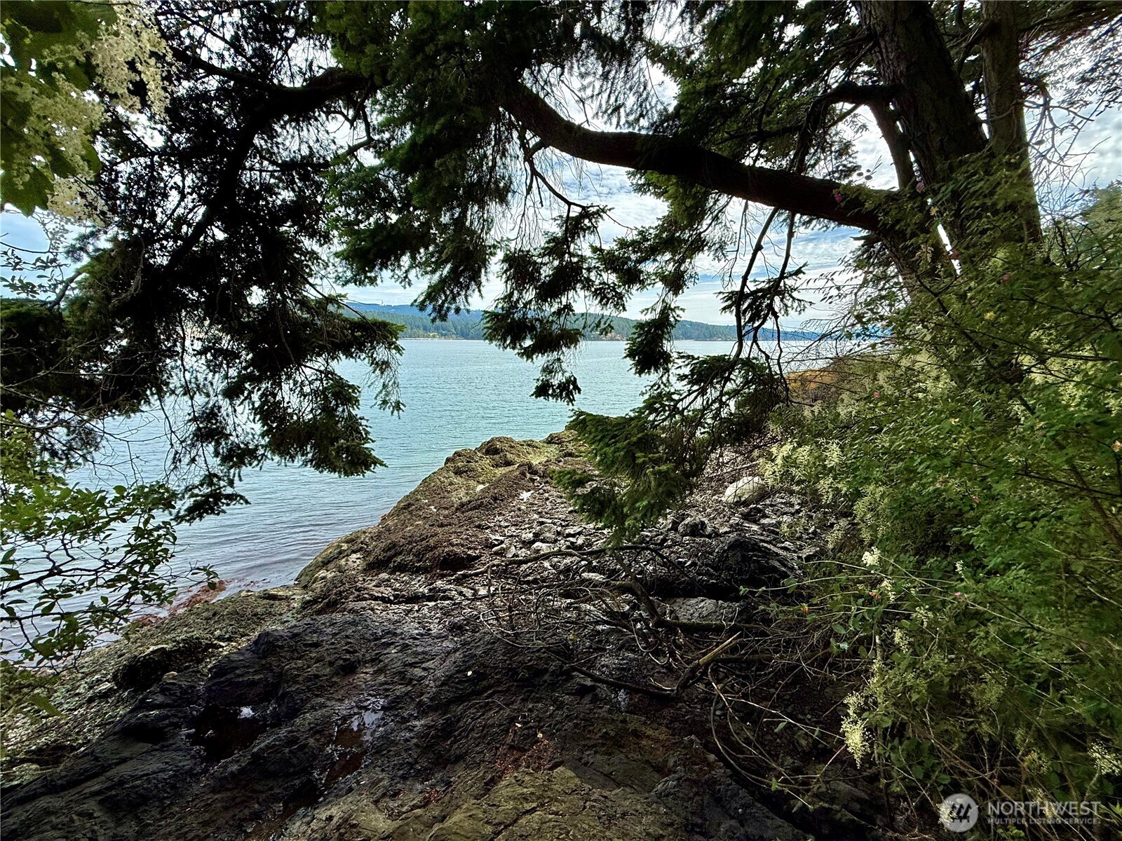 0 Lots 7-8 Newton Beach Road Shaw Island, WA 98286 - Photo 6 of 33