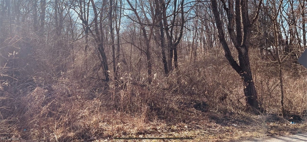 2960 Schotten Road Hubbard, OH 44425 - Photo 2 of 4