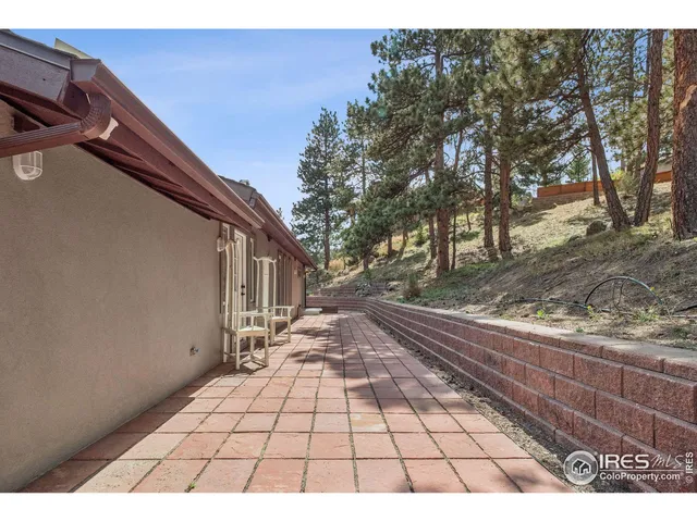 a view of a yard with plants and large trees