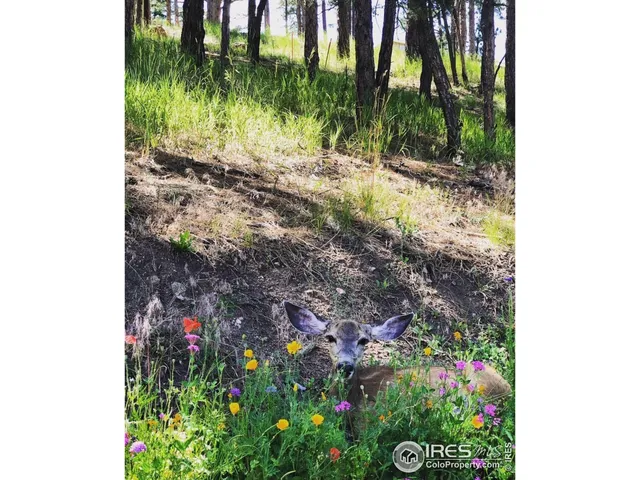 a living room with stainless steel appliances kitchen island furniture and a wooden floor