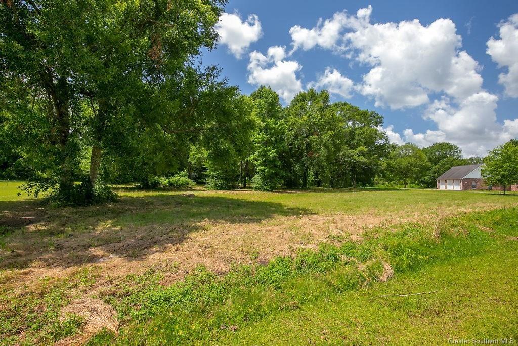 0 Jims Circle Ragley, LA 70657 - Photo 4 of 4