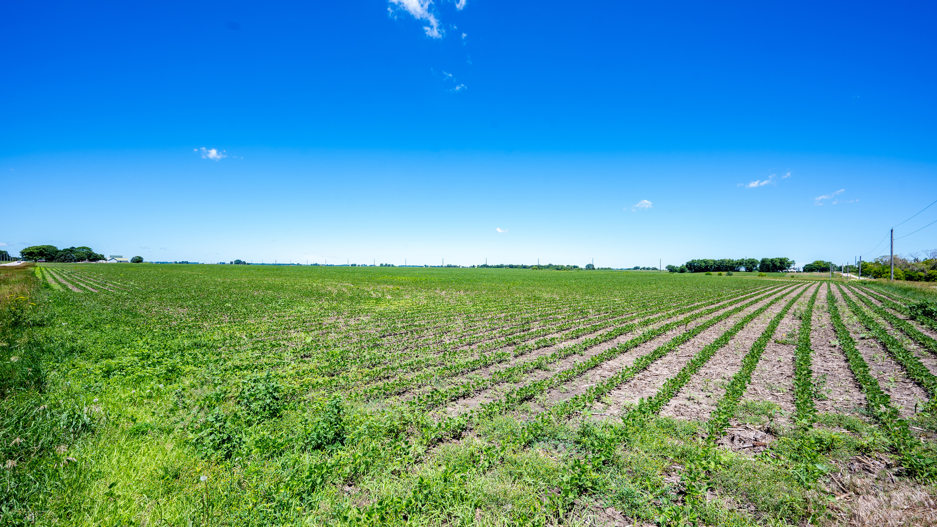 0 Northwest Mcgirr Road Hinckley, IL 60520 - Photo 16 of 18