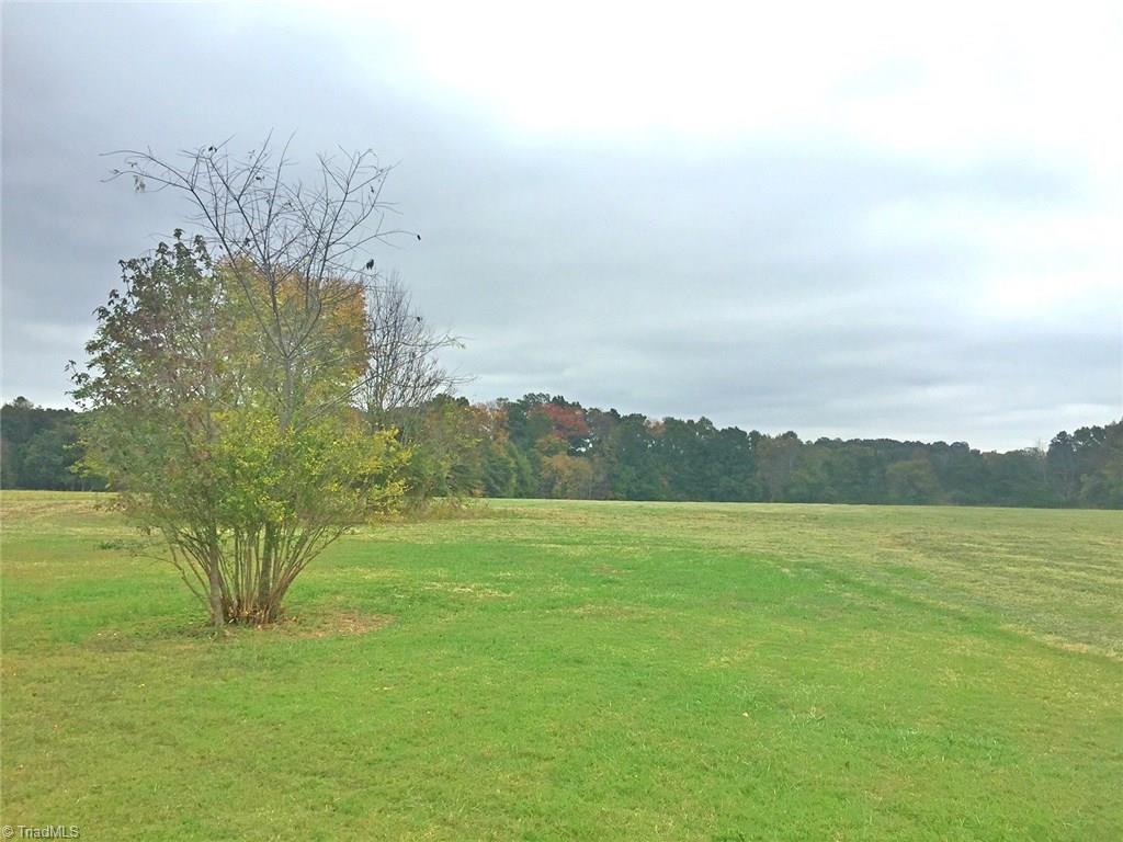 4327 Burch Bridge Road Burlington, NC 27217 - Photo 15 of 17 Backyard