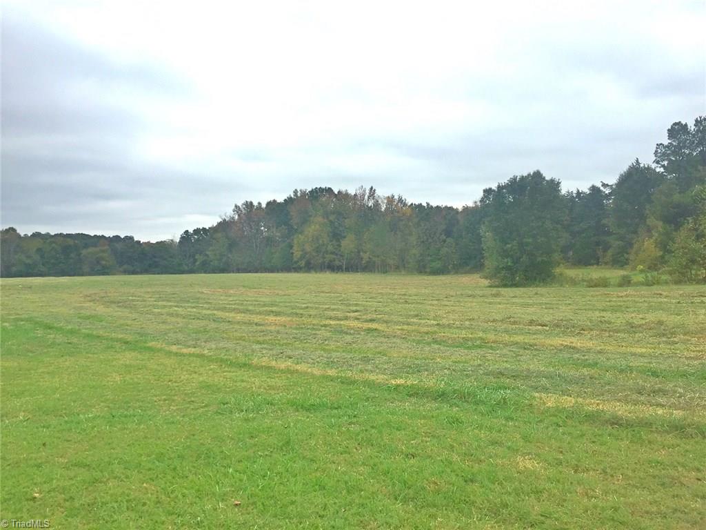 4327 Burch Bridge Road Burlington, NC 27217 - Photo 16 of 17 View from Backyard