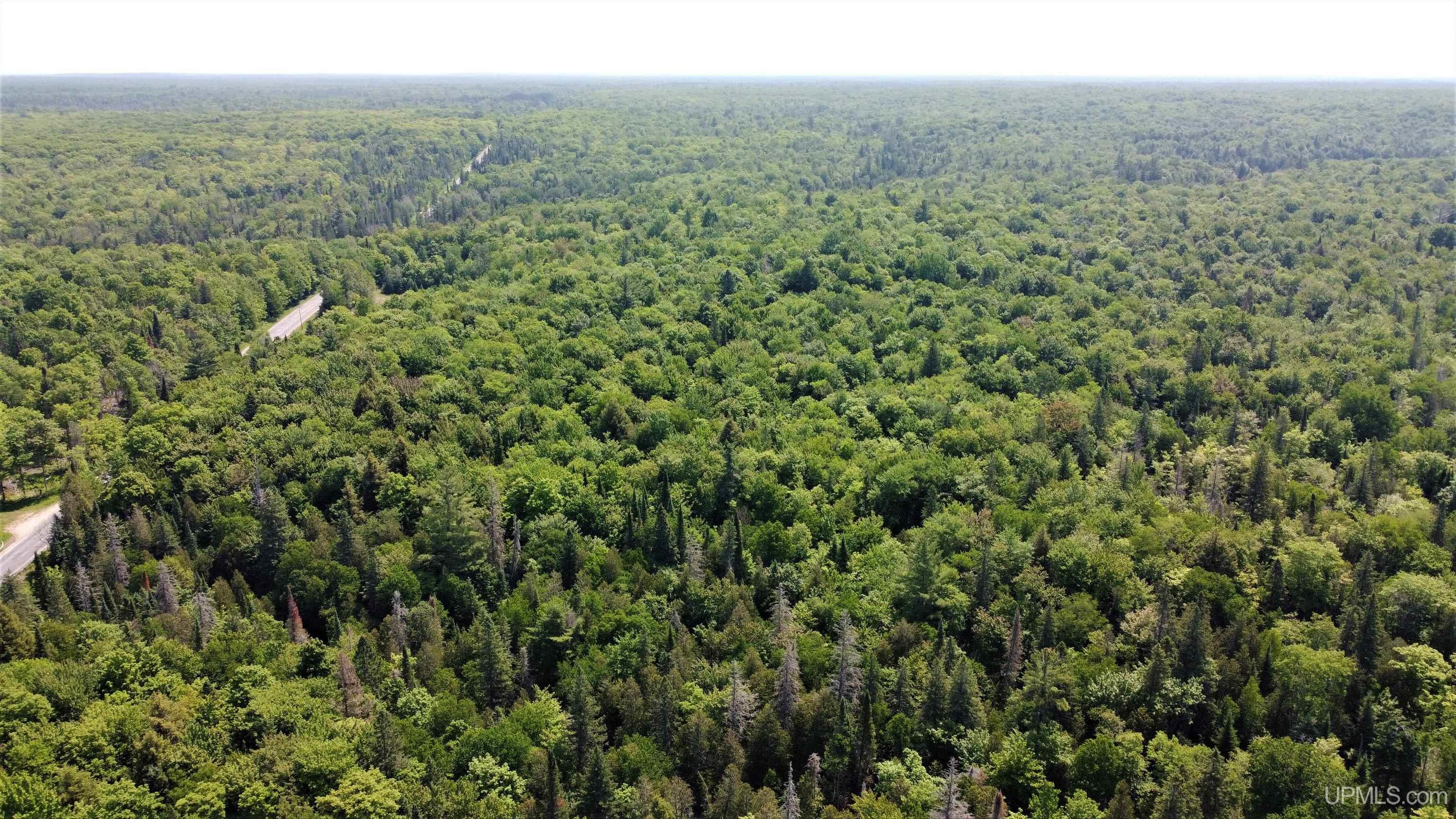 On West Shingleton Road Shingleton, MI 49884 - Photo 14 of 20