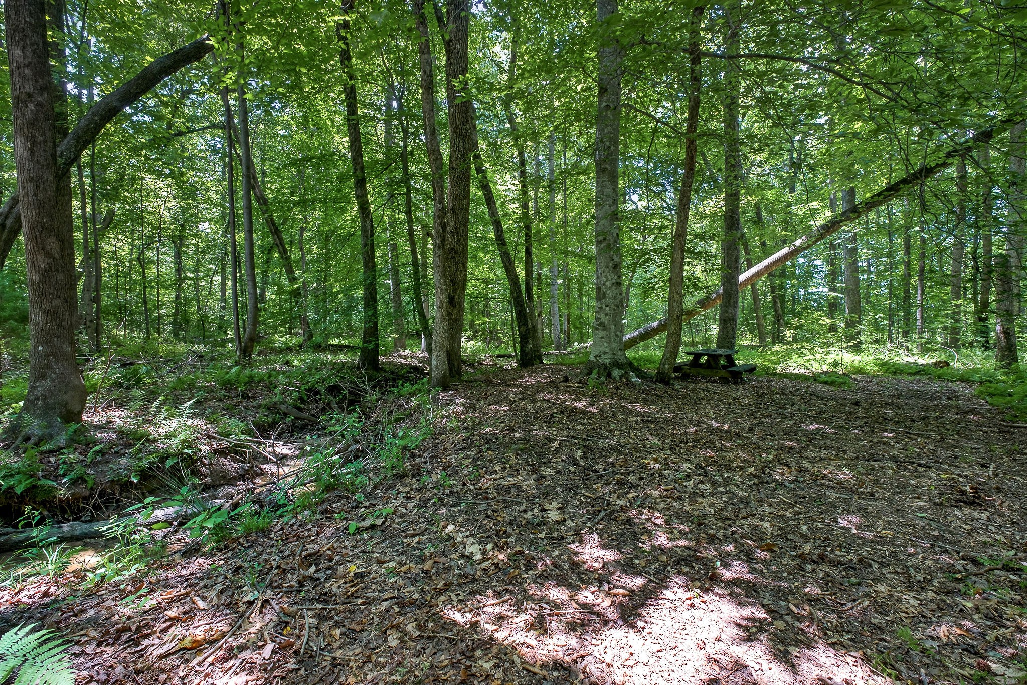 2025 Old Bonair Road Sparta, TN 38583 - Photo 50 of 72