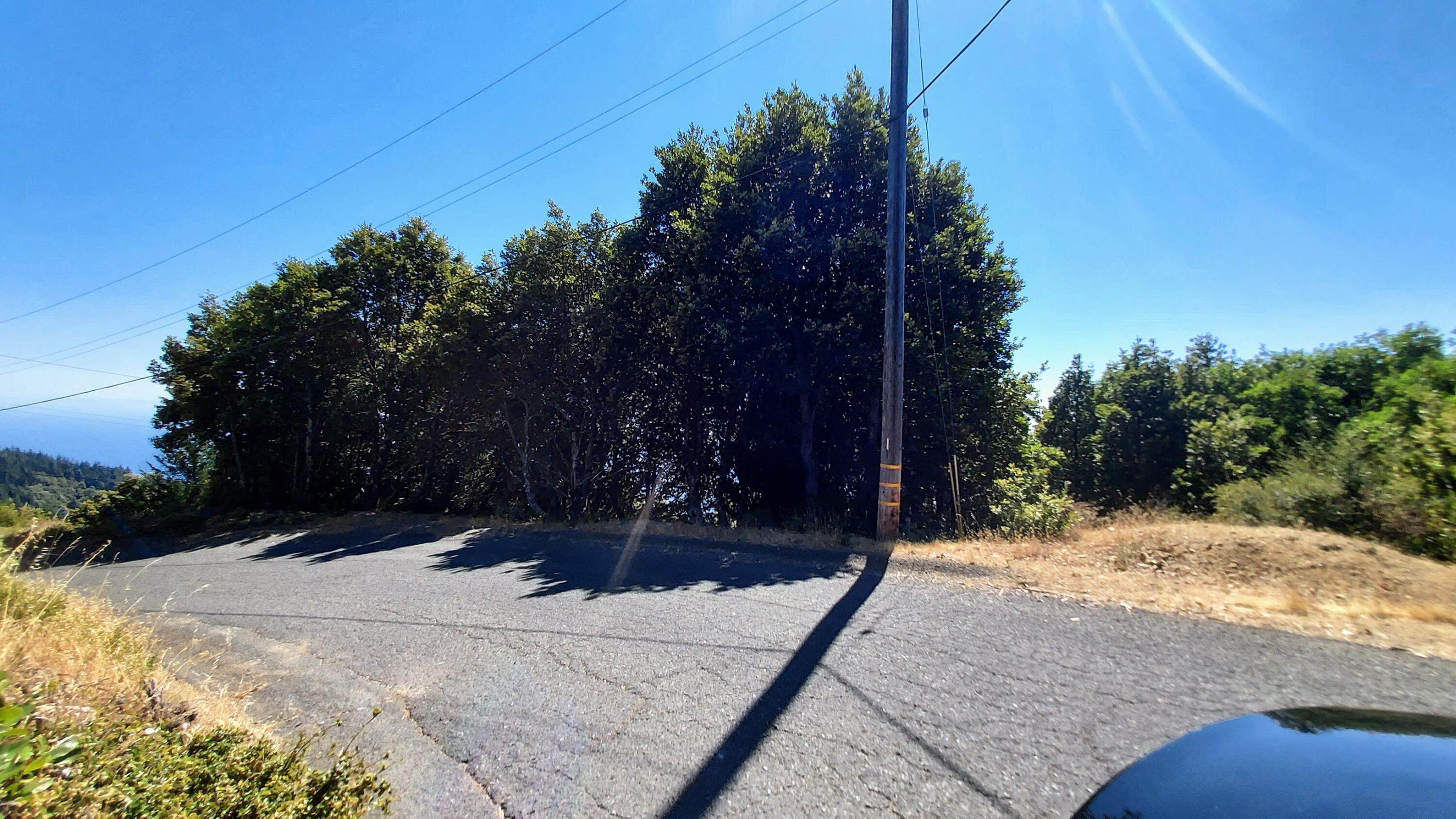 27 Cook Road Shelter Cove, CA 95589 - Photo 18 of 22