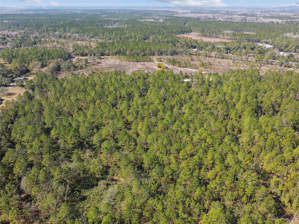0 Old Haw Creek Road Bunnell, FL 32110 - Photo 11 of 31