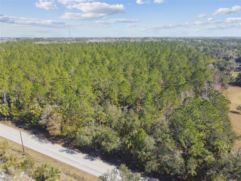 0 Old Haw Creek Road Bunnell, FL 32110 - Photo 16 of 31