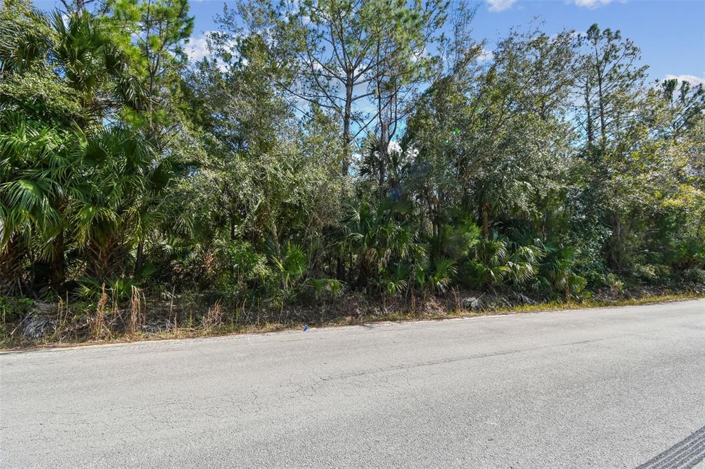 0 Old Haw Creek Road Bunnell, FL 32110 - Photo 23 of 31