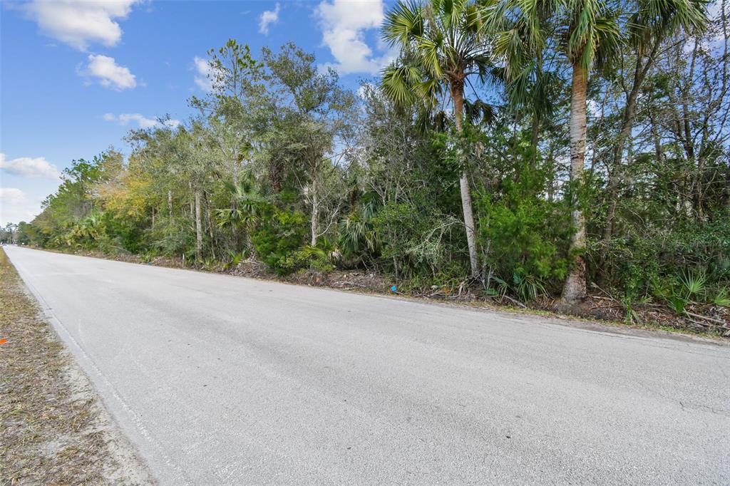 0 Old Haw Creek Road Bunnell, FL 32110 - Photo 30 of 31