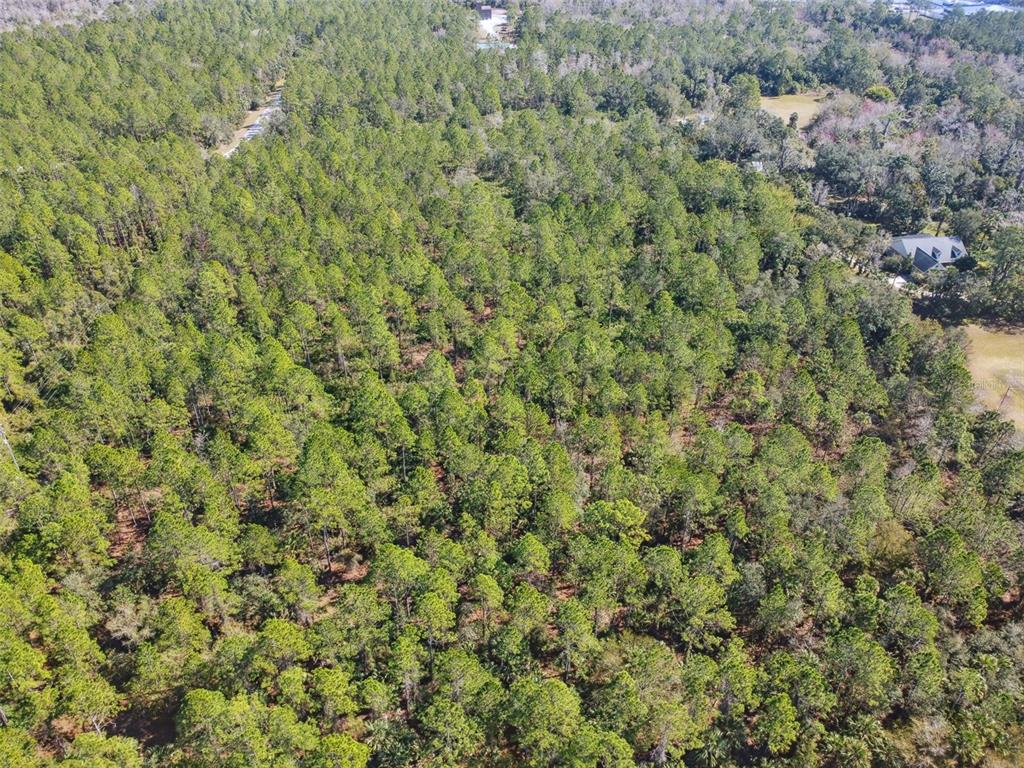 0 Old Haw Creek Road Bunnell, FL 32110 - Photo 9 of 31