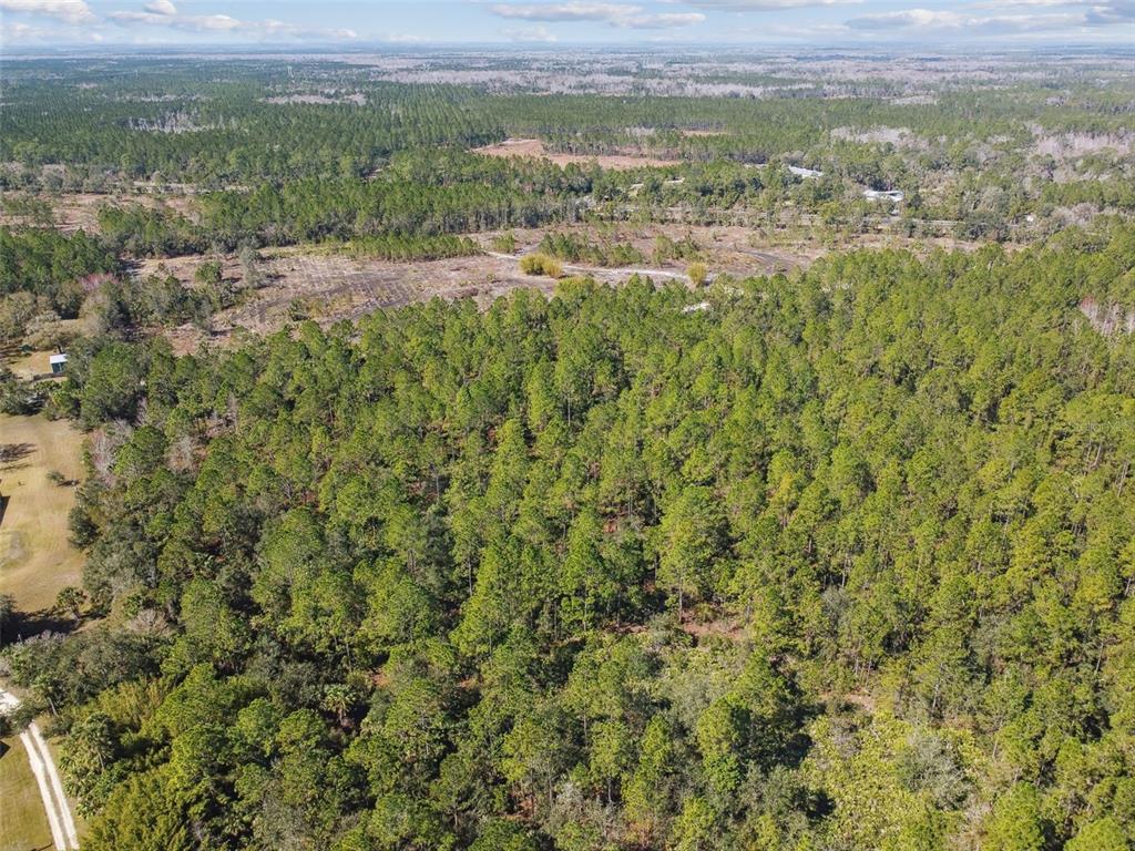 0 Old Haw Creek Road Bunnell, FL 32110 - Photo 10 of 31