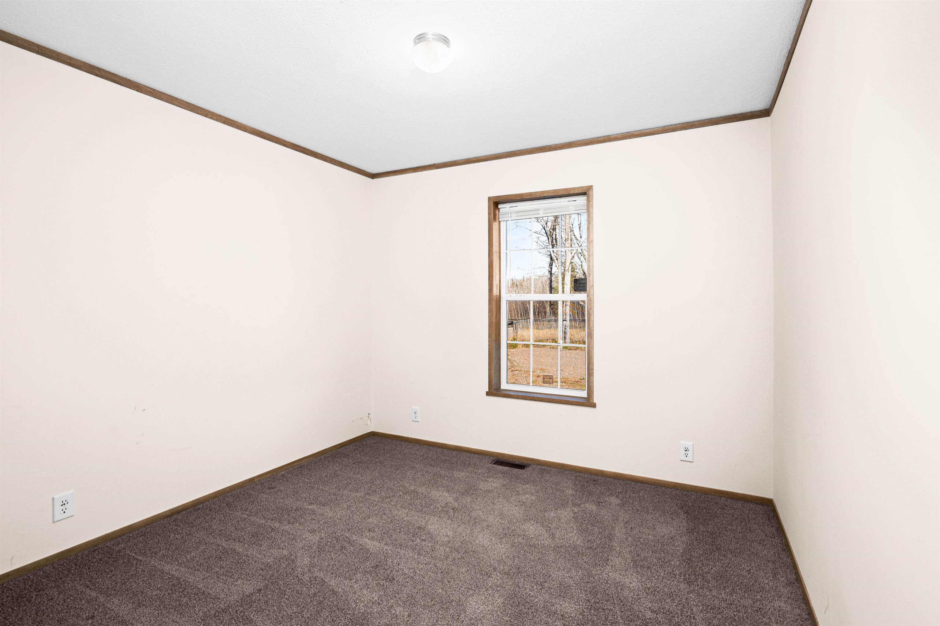 5562 Lavaque Road Duluth, MN 55803 - Photo 24 of 28 Carpeted spare room with ornamental molding