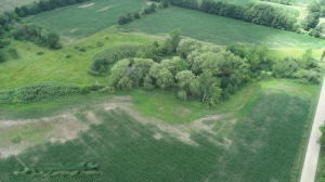 50668 Shorts Road Leonidas, MI 49066 - Photo 11 of 22 Shorts Rd 13